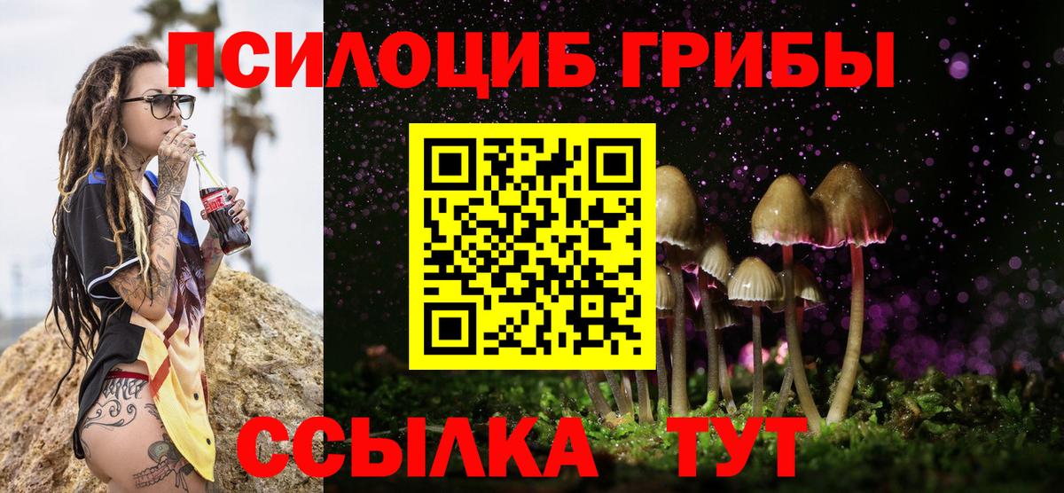 Галлюциногенные грибы прущие грибы Валуйки